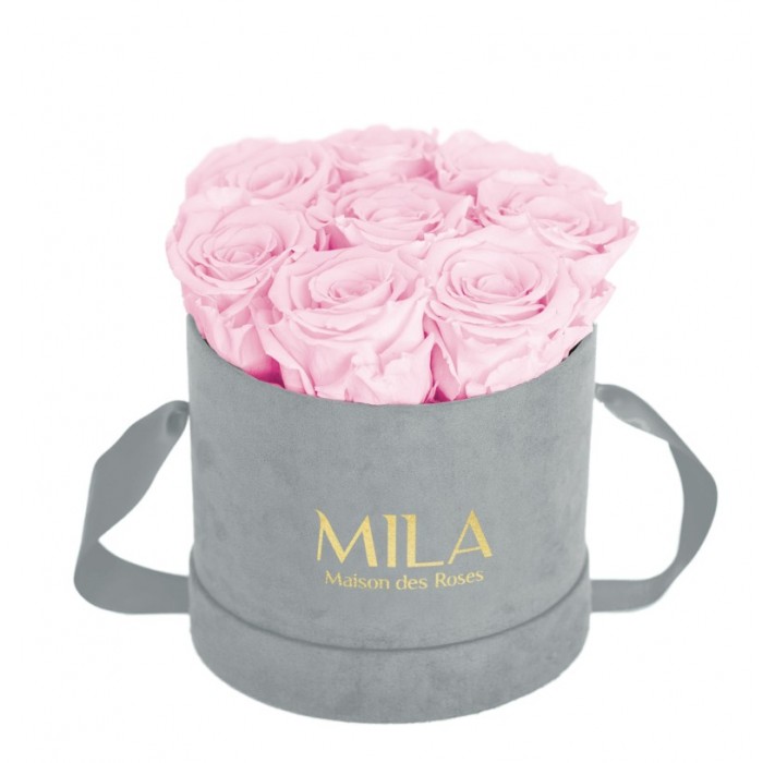 Mila Velvet Small Light Grey Velvet Small - Pink Blush