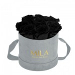  Mila-Roses-01061 Mila Velvet Small Light Grey Velvet Small - Black Velvet