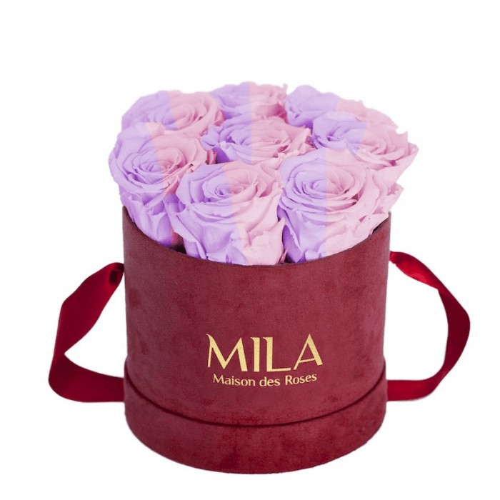 Mila Velvet Small Burgundy Velvet Small - Vintage rose