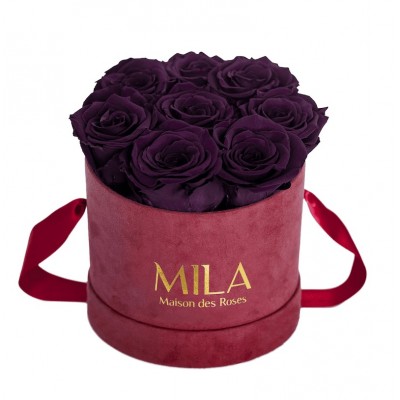 Produit Mila-Roses-01067 Mila Velvet Small Burgundy Velvet Small - Velvet purple