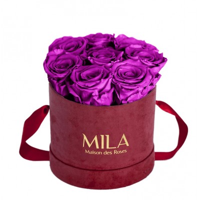 Produit Mila-Roses-01068 Mila Velvet Small Burgundy Velvet Small - Violin