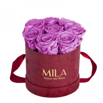 Produit Mila-Roses-01069 Mila Velvet Small Burgundy Velvet Small - Mauve