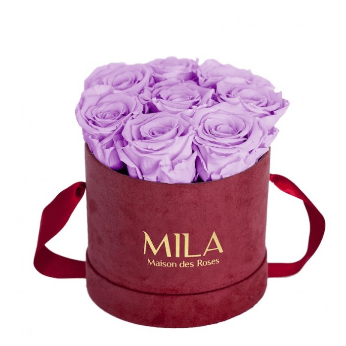 Mila Velvet Small Burgundy Velvet Small - Lavender