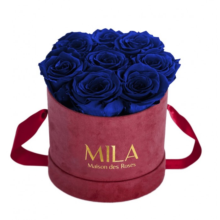 Mila Velvet Small Burgundy Velvet Small - Royal blue