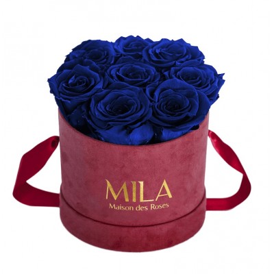 Produit Mila-Roses-01071 Mila Velvet Small Burgundy Velvet Small - Royal blue