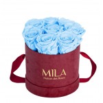  Mila-Roses-01073 Mila Velvet Small Burgundy Velvet Small - Baby blue
