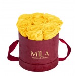  Mila-Roses-01074 Mila Velvet Small Burgundy Velvet Small - Yellow Sunshine