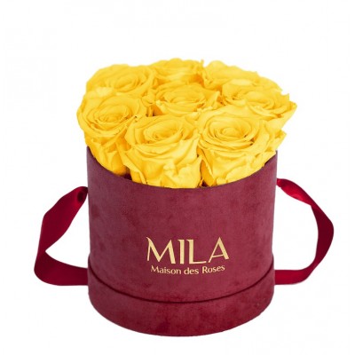 Produit Mila-Roses-01074 Mila Velvet Small Burgundy Velvet Small - Yellow Sunshine