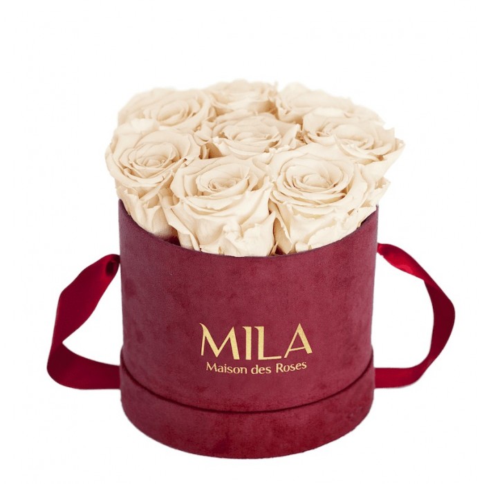 Mila Velvet Small Burgundy Velvet Small - Champagne