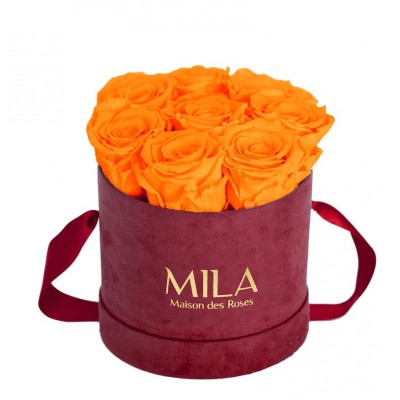 Produit Mila-Roses-01079 Mila Velvet Small Burgundy Velvet Small - Orange Bloom