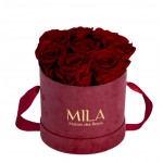  Mila-Roses-01080 Mila Velvet Small Burgundy Velvet Small - Rubis Rouge
