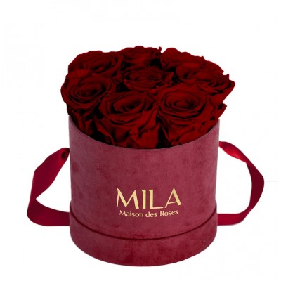 Produit Mila-Roses-01080 Mila Velvet Small Burgundy Velvet Small - Rubis Rouge