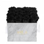  Mila-Roses-01109 Mila Medium Marble Marble - Black Velvet