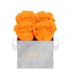  Mila-Roses-01127 Mila Mini Marble Marble - Orange Bloom