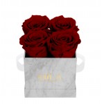  Mila-Roses-01128 Mila Mini Marble Marble - Rubis Rouge
