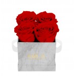  Mila-Roses-01129 Mila Mini Marble Marble - Rouge Amour