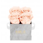  Mila-Roses-01130 Mila Mini Marble Marble - Pure Peach