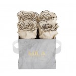  Mila-Roses-01132 Mila Mini Marble Marble - Haute Couture