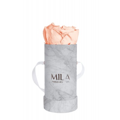 Produit Mila-Roses-01154 Mila Baby Marble Marble - Pure Peach