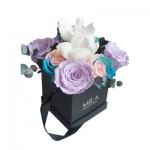  Mila-Roses-01207 Chloris Black