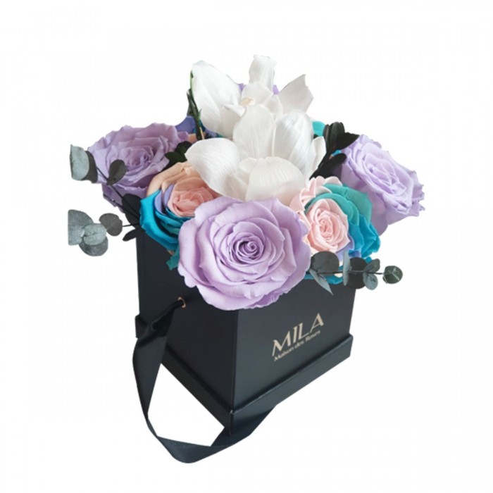 Chloris Black