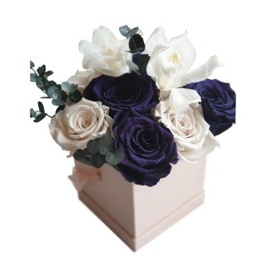 Produit Mila-Roses-01208 Chloris Nude