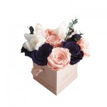  Mila-Roses-01209 Chloris Salmon