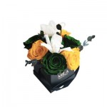  Mila-Roses-01210 Chloris Nature