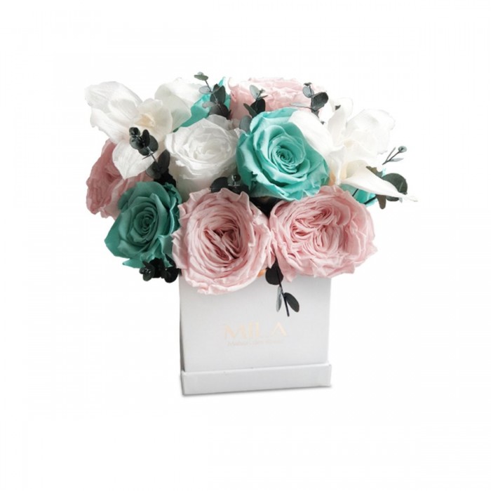 Chloris Pastel