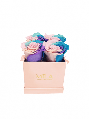 Produit Mila-Roses-01308 Mila Classique Mini Rose Classique - Sweet Candy