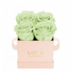  Mila-Roses-01309 Mila Classique Mini Rose Classique - Mint