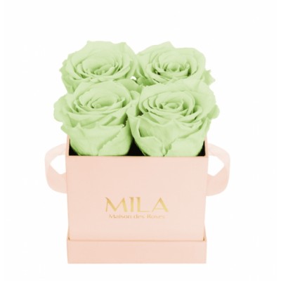 Produit Mila-Roses-01309 Mila Classique Mini Rose Classique - Mint