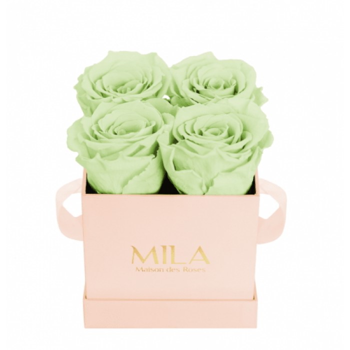 Mila Classique Mini Rose Classique - Mint