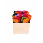  Mila-Roses-01310 Mila Classique Mini Rose Classique - Rainbow