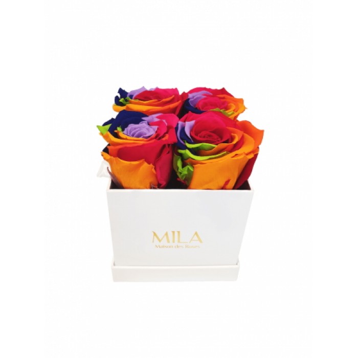 Mila Classique Mini Rose Classique - Rainbow
