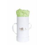  Mila-Roses-01315 Mila Classique Baby Blanc Classique - Mint