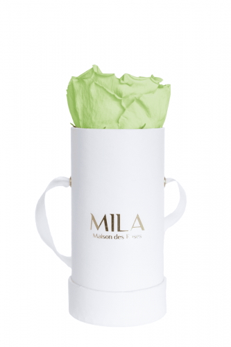 Produit Mila-Roses-01315 Mila Classique Baby Blanc Classique - Mint