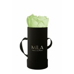  Mila-Roses-01318 Mila Classique Baby Noir Classique - Mint