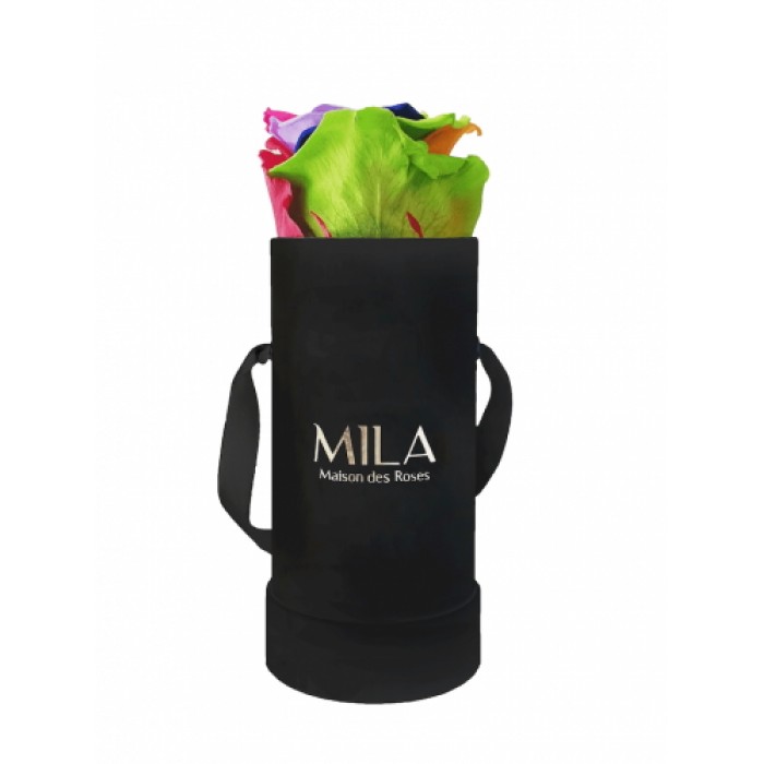 Mila Classique Baby Noir Classique - Rainbow