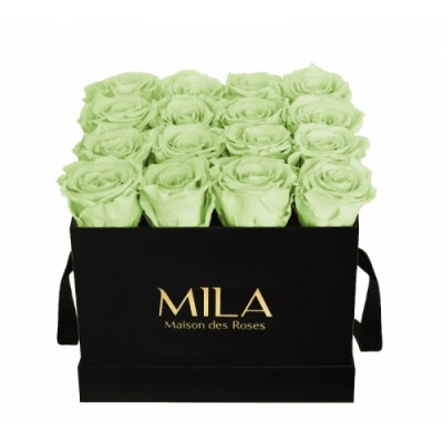Produit Mila-Roses-01321 Mila Classique Medium Noir Classique - Mint