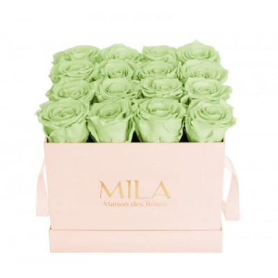 Produit Mila-Roses-01324 Mila Classique Medium Rose Classique - Mint