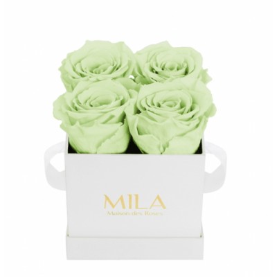 Produit Mila-Roses-01327 Mila Classique Mini Blanc Classique - Mint