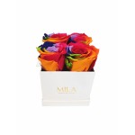  Mila-Roses-01328 Mila Classique Mini Blanc Classique - Rainbow