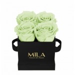  Mila-Roses-01330 Mila Classique Mini Noir Classique - Mint