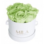  Mila-Roses-01333 Mila Classique Small Blanc Classique - Mint