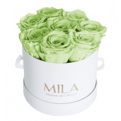Produit Mila-Roses-01333 Mila Classique Small Blanc Classique - Mint
