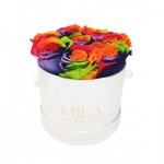  Mila-Roses-01334 Mila Classique Small Blanc Classique - Rainbow