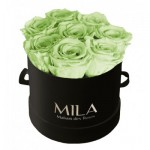  Mila-Roses-01336 Mila Classique Small Noir Classique - Mint