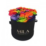  Mila-Roses-01337 Mila Classique Small Noir Classique - Rainbow