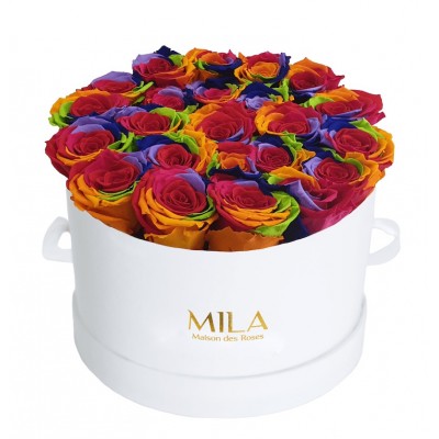 Produit Mila-Roses-01340 Mila Classique Large Blanc Classique - Rainbow